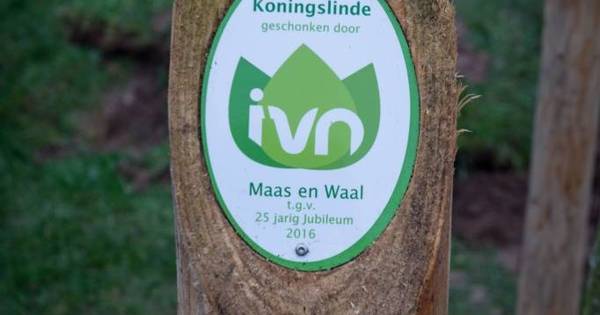 Jarig IVN schenkt acht bomen aan Maas en Waal