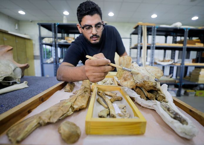 Abdullah Gohar, le principal auteur de l’étude.