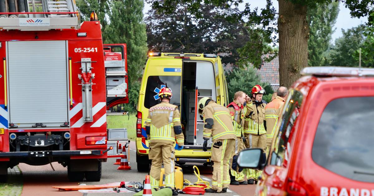 Hond wijkt niet van zijde baasje na ernstig auto-ongeluk, dier blijft op slachtoffer liggen.