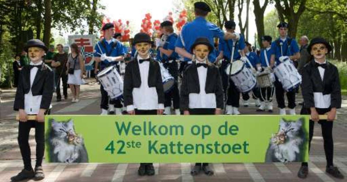 Kattenstoet Ieper trekt ruim 50.000 toeschouwers Default hln.be