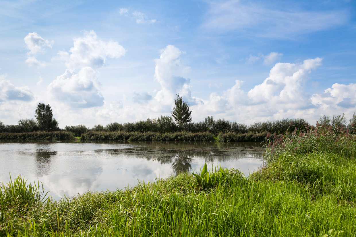 Binnenveldse Hooilanden is een natuurgebied waar Mooi Wageningen samen met Staatsbosbeheer en de Agrarische Natuurvereniging Binnenveld een natuurontwikkelingsplan doorvoeren.