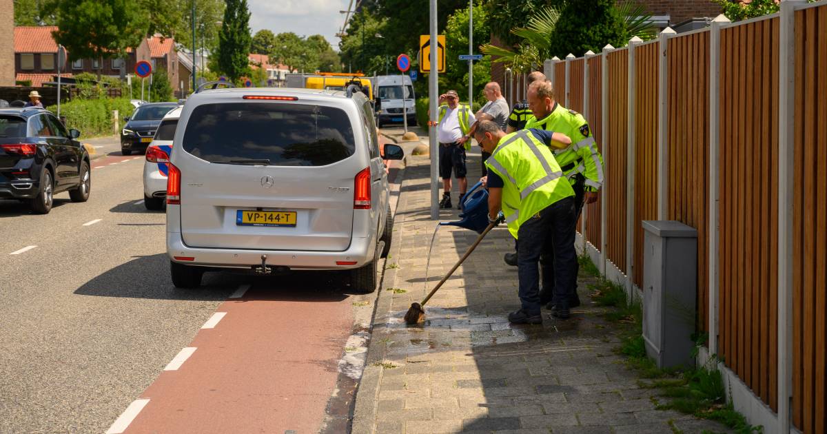 Verdachte (37) heftige steekpartij in Woerden hoort taakstraf tegen zich eisen.