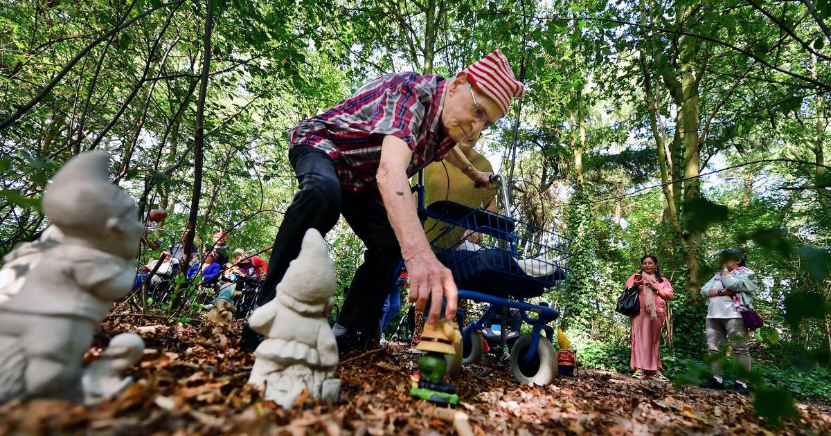Zeventig nieuwe bewoners in kabouterbosje Nispen