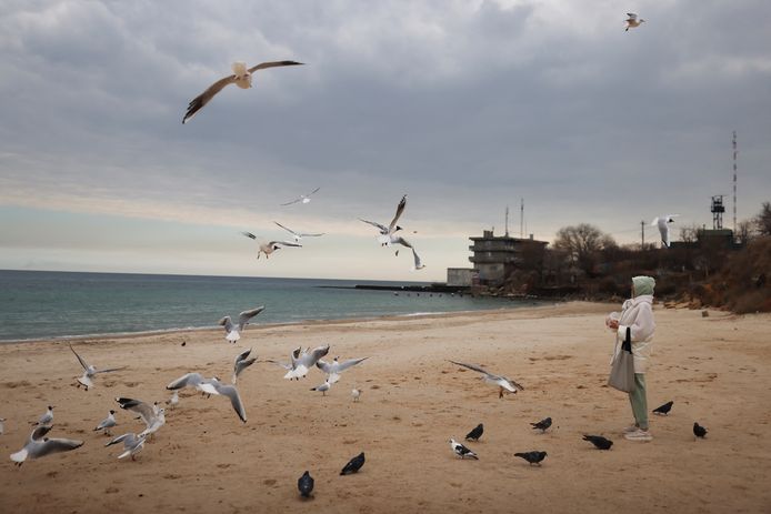Een vrouw voert meeuwen op het strand aan de Zwarte Zee in Odessa. De generale staf van Oekraïne zegt dat Russische marineschepen sinds het begin van de oorlog de scheepvaart in het noordwestelijke deel van de Zwarte Zee blokkeren.