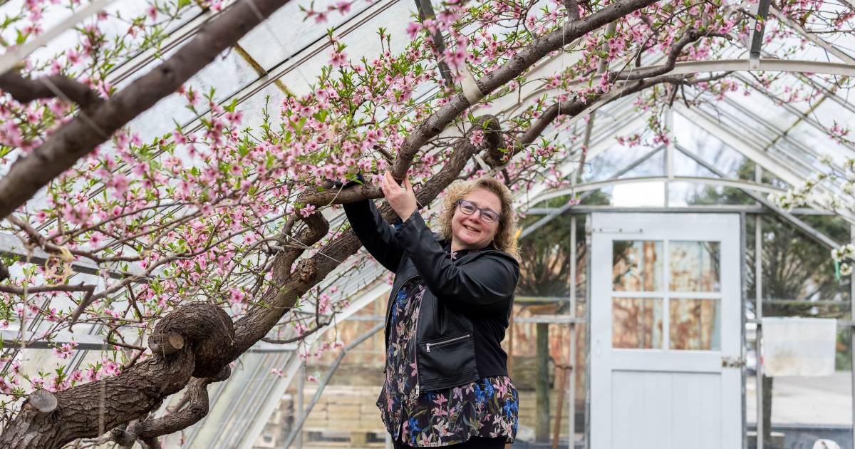 Sylvia maakt in haar uppie maar liefst 75 soorten jams, sauzen en