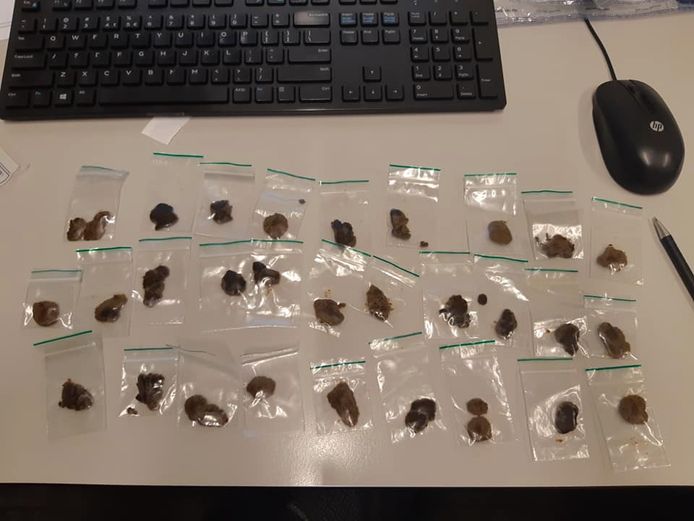 De politie heeft vier jongeren in Rijssen aangehouden op verdenking van de handel in verdovende middelen.