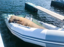 Freya rust uit in een bootje aan de Noorse kust.