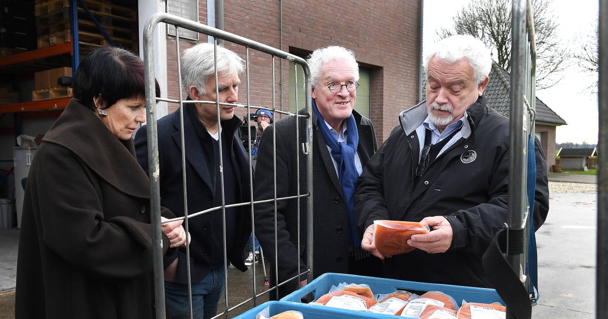 Dit is toch niet te geloven?