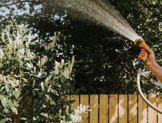 Grotere regenwaterputten in opmars: “Ga meteen voor een put van 10.000 liter”