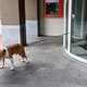 De banken kunnen nergens heen met uw spaargeld – en dat begint klanten in hun portemonnee te raken