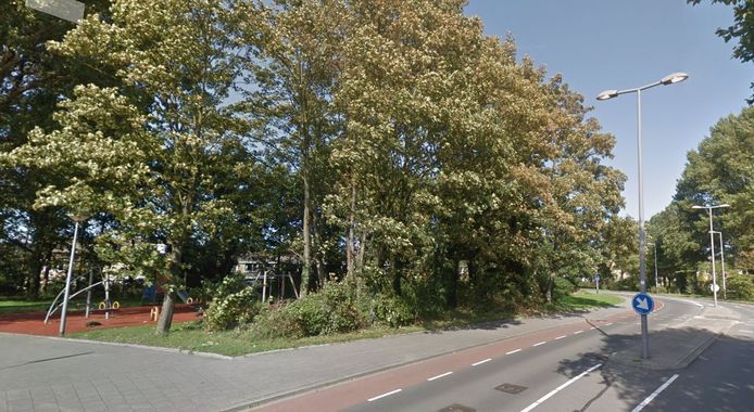 De speeltuin aan de Hoekse Hilleweg.