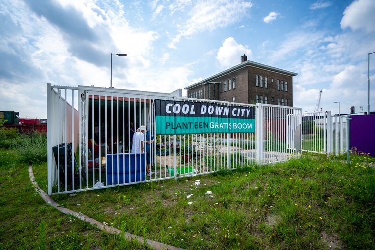 De container van Cool Down City in het Merwe-Vierhavensgebied van Rotterdam. Beeld JERRY LAMPEN