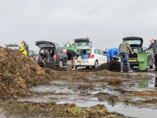Met de gratis compost uit Sprang-Capelle staan de tuinen er dit jaar weer mooi bij