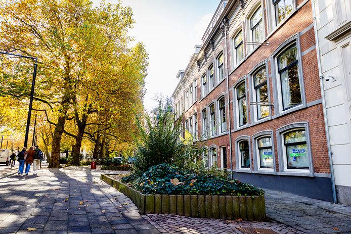De locatie van Zuster Norma aan de Johan de Wittstraat in Dordrecht