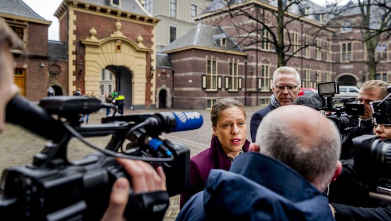 Minister Carola Schouten op het Binnenhof. Beeld anp