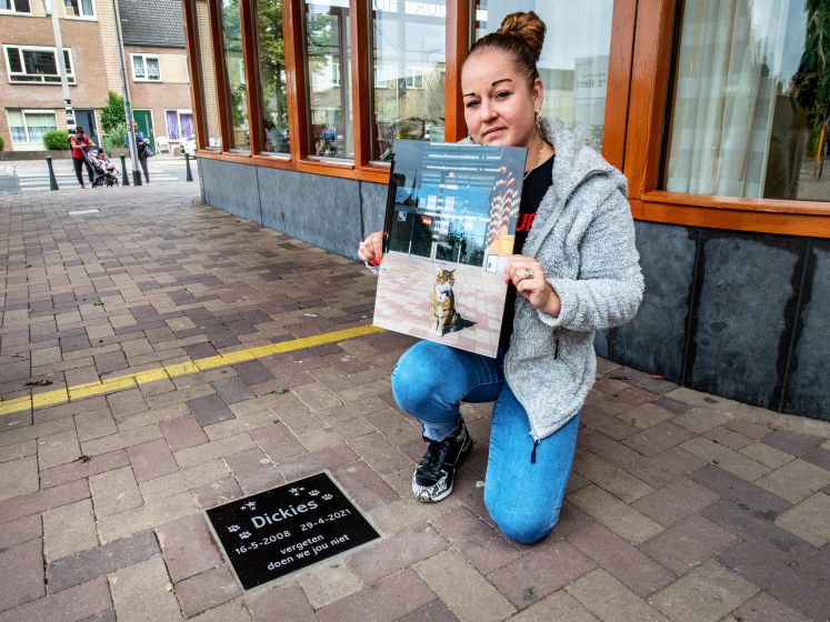 Monument voor geliefde Nijmeegse buurtkat Dickies