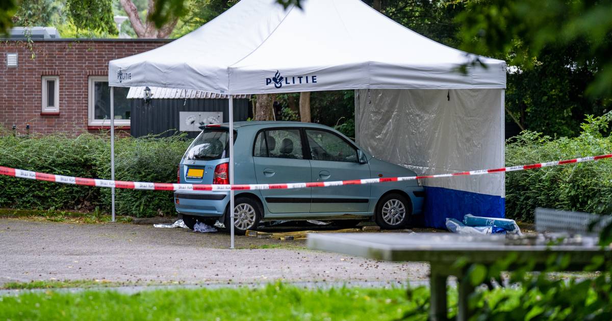 Dode bij steekpartij op parkeerplaats tennisvereniging in Rozenburg: ‘Ik hoorde een enorm gekrijs' .