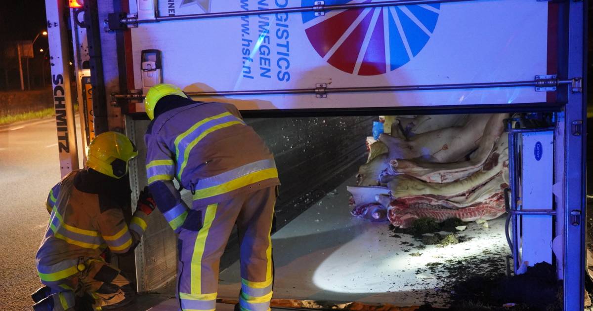 Ongeval met vrachtwagen vol varkensvlees op N325.
