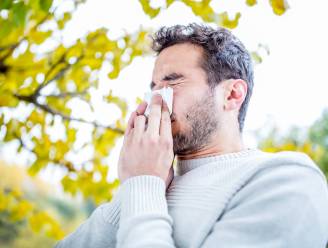 Sciensano waarschuwt allergielijders voor berkenpollenseizoen 