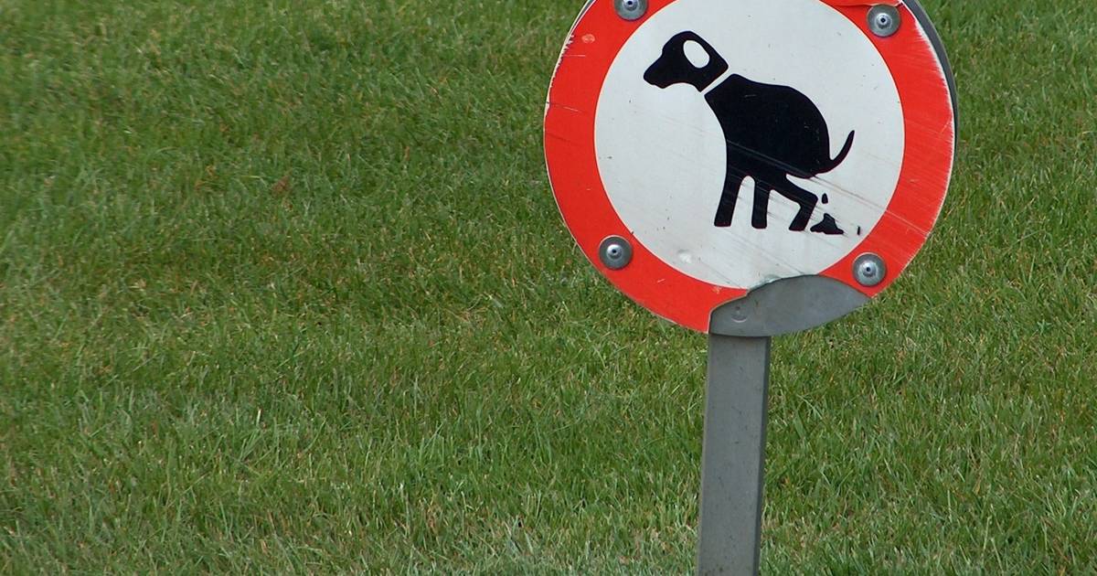 Romanschrijver Geavanceerd Higgins Op 25 plekken in Etten-Leur alsnog hek om hondenuitlaatplaats | Etten-Leur  | bndestem.nl