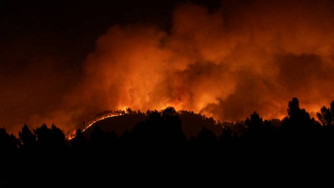 Eerste grote bosbrand van het jaar in Spanje: bijna 4.000 hectare verwoest