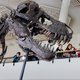 Te koop tegen elk aannemelijk bod: een heuse T. Rex