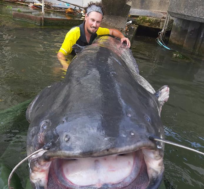 VIsser Geoffrey Rulleau toont zijn monsterlijke vangst in de Seine nabij Parijs.