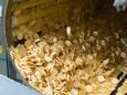 Rijstwafels rollen uit de machine in de productiehal van Sanorice.