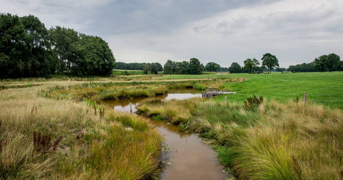 Bornerbroek zeker niet tegen nieuwe weg om Zenderen, maar dan niet dwars door natuur