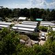 De laatste kinderen mogen weg van Australisch asieleiland Nauru