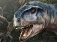 Schedel van “angst inboezemende” dinosaurus gevonden in Patagonië