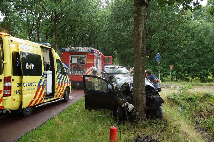 Een bestuurder is woensdagmiddag rond 17.40 uur tegen een boom gebotst op de Kegelaar in Kaatsheuvel.