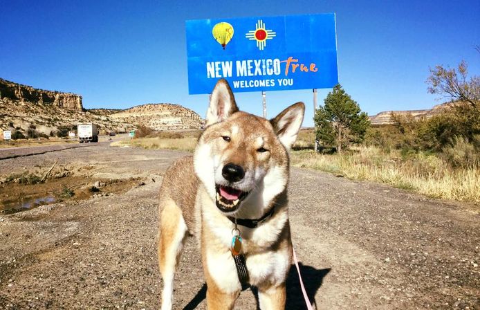 Mura bij de grens van de staat New Mexico.