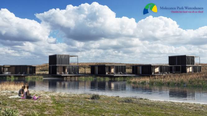 Vooralsnog geen paniek: provincie ziet geen negatieve effecten vervuilde Westerschelde voor Waterdunen
