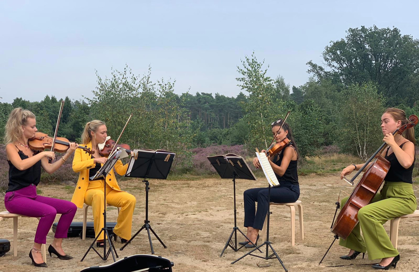 Het Puellae Kwartet bestaat uit de violisten Annefloor Plantinga en Julia Doornebosch, altvioliste Nouschka van Schaik en celliste Loïs van Malenstein.