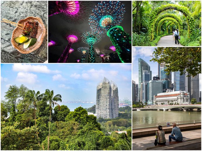 De futuristische architecturale hoogstandjes van Singapore staan haast symbool voor de prijzen van het vastgoed: torenhoog.