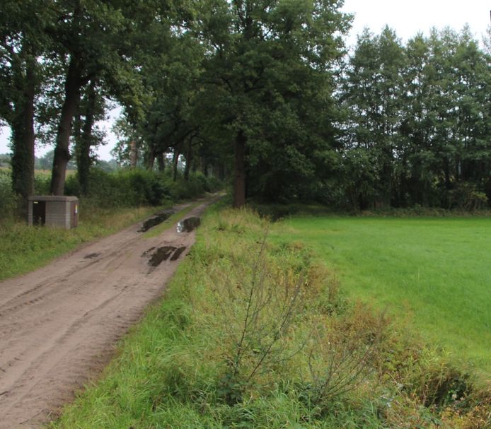In het kader van de actie 'landjepik' houdt Berkelland in de gaten of agrarische percelen niet spontaan worden uitgebreid met aangrenzend groen in de vorm van wegbermen en houtwallen.