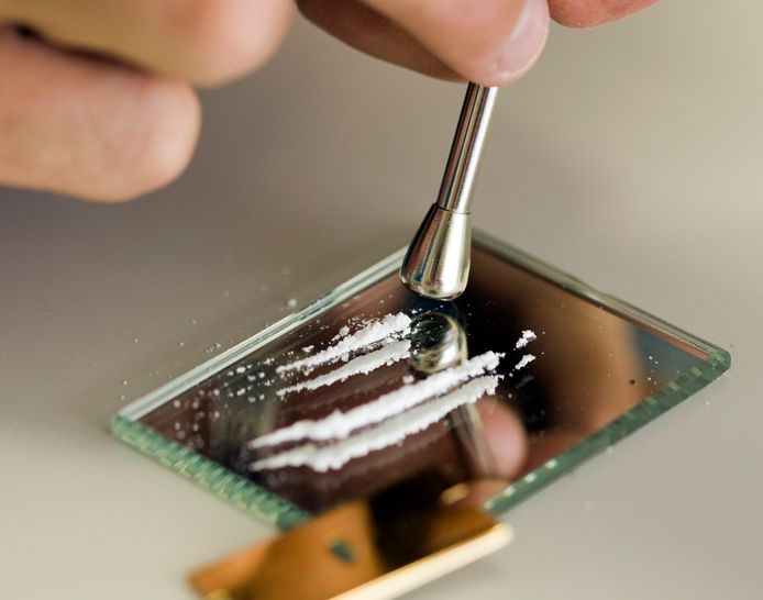 In een recreatiewoning in Balkbrug werd begin maart een grote hoeveelheid drugs aangetroffen.