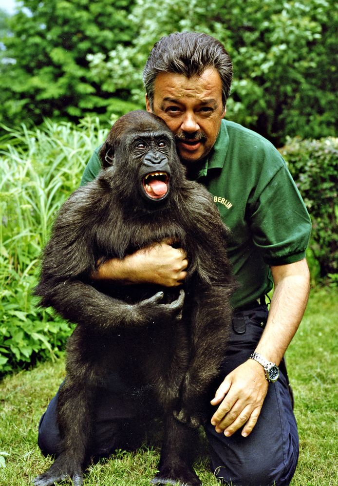 Jonge Bokito nam eerder de benen in Berlijnse zoo Rotterdam AD.nl