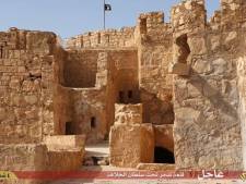 Palmyre, une "bataille pour l'Humanité toute entière"
