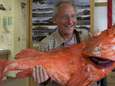 Enorme '200 jaar oude vis' gevangen in Alaska