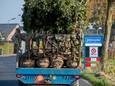 Opheusden, het centrum van de laanboomteelt. Bomen genoeg voor de aanplant van een babybos.