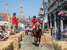 Verkwikkende paardenjacuzzi dient ook als medicijn
