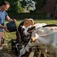 Volkskrant Ochtend: Boeren voelen zich in hun bestaan bedreigd | Vind hier het perfecte boek bij uw vakantiebestemming