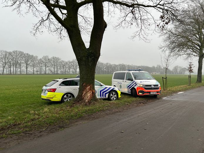 De wagen miste een bocht en kwam tegen een boom terecht.