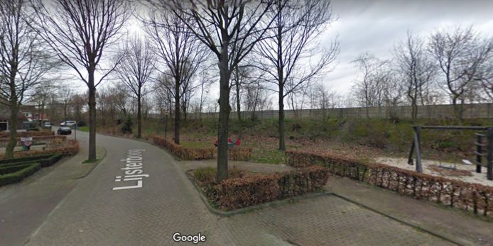 De geluidswal bij de wijk Doelakkers, hier te zien vanuit de Lijsterboog.