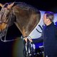 Afscheid van Verdi: een paard van 15 miljoen dat nooit werd verkocht
