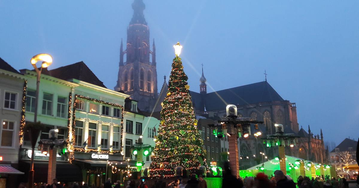 Compliment Vermoorden Benodigdheden Dure Bredase kerstboom is volgens maker 'meer dan een boom', politiek  schrikt van kosten | Breda | bndestem.nl