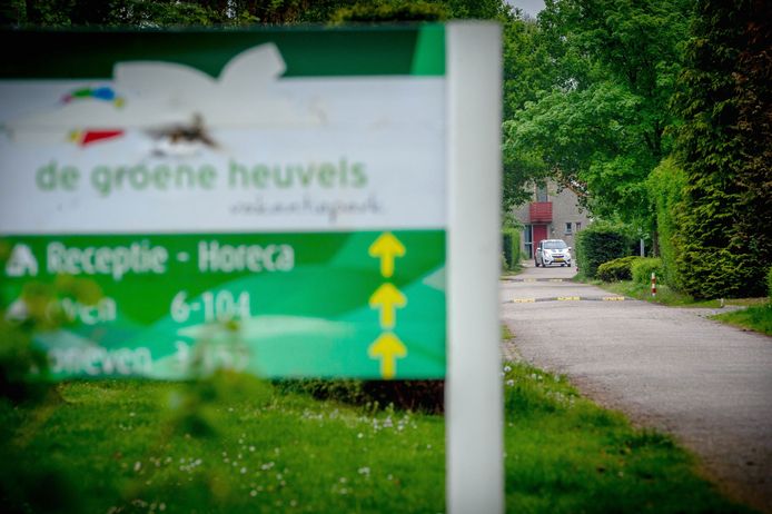 Groene Heuvels in Ewijk.