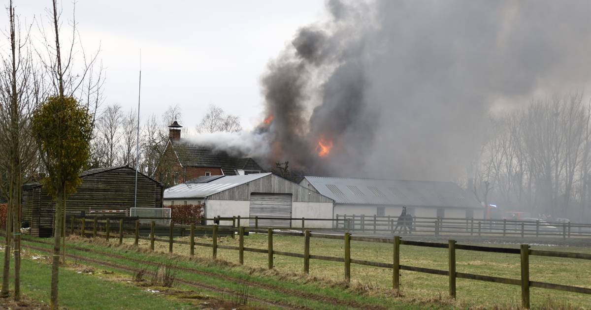 Oorzaak brand in woning in Haps onbekend